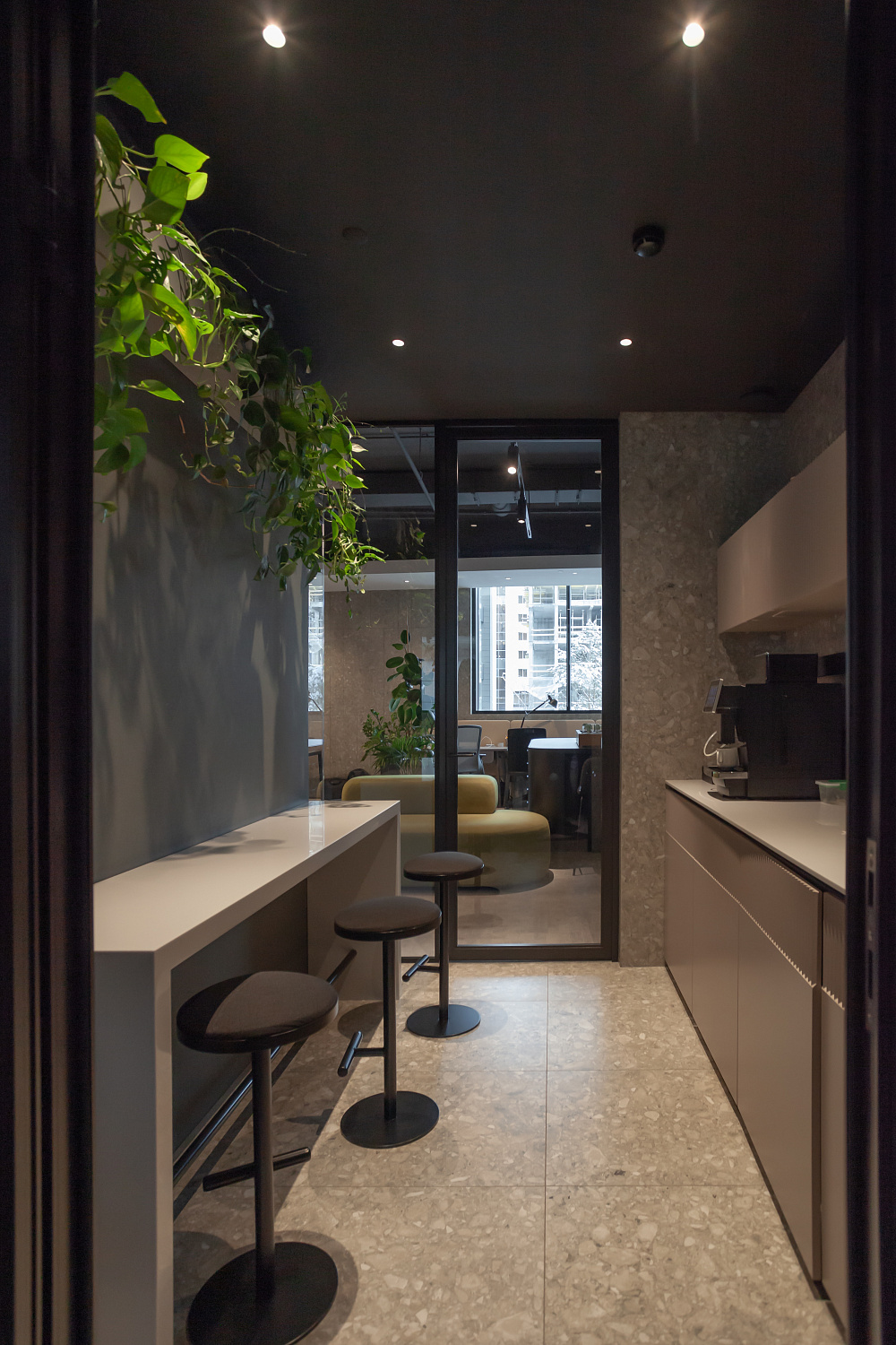 3707_23  Брусника