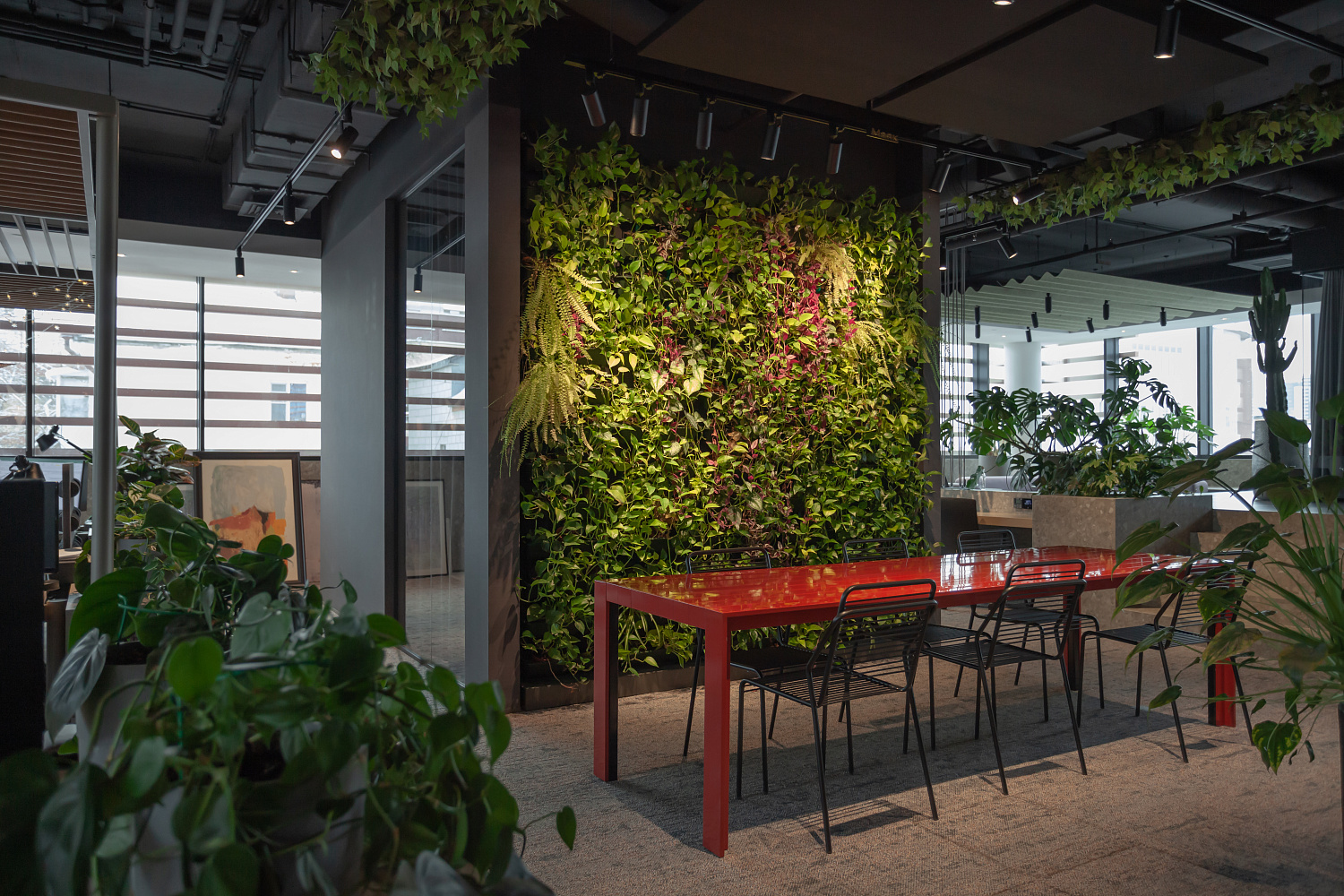 3707_23  Брусника