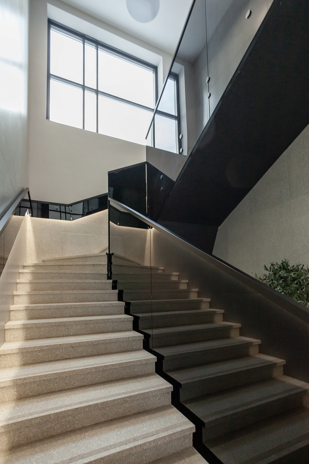 4602_22  ЖК LevelUp